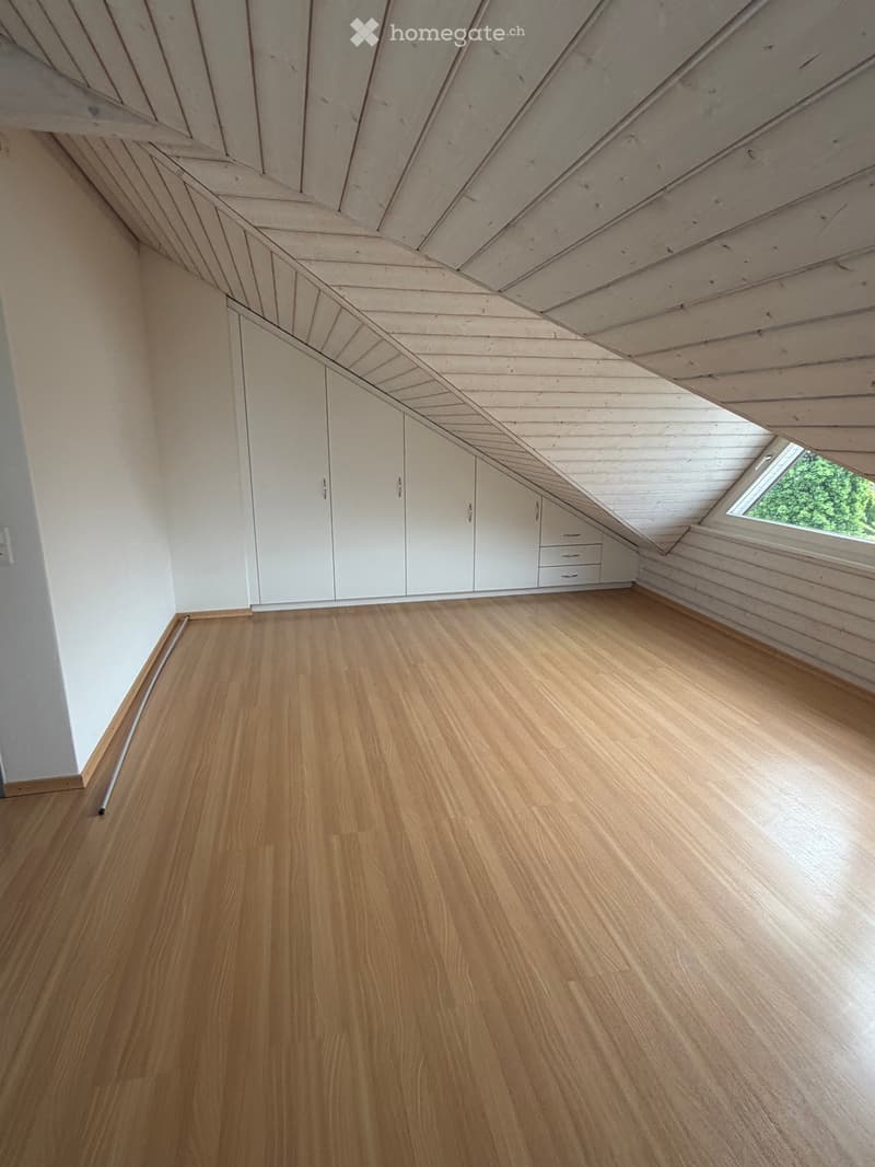 Unfurnished Room. Empty room with wooden floor, white walls, built-in white cabinets, and a skylight window showing greenery outside.