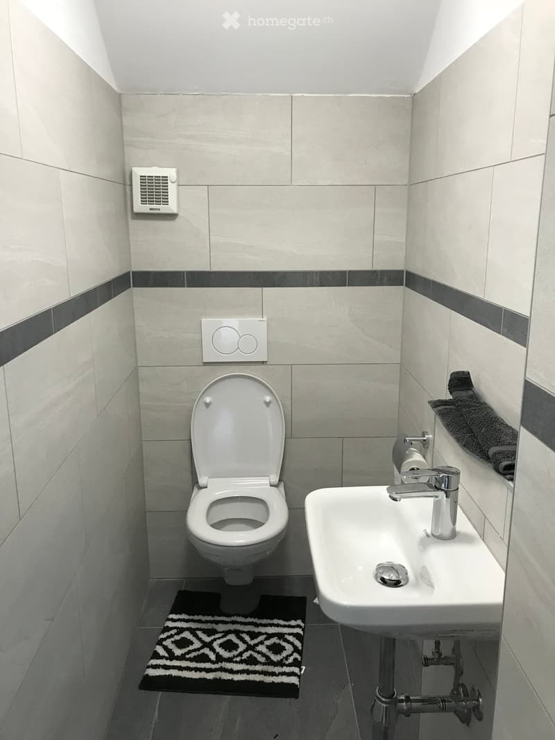 Casa rinnovata immersa nel verde della Valle di Blenio (5)