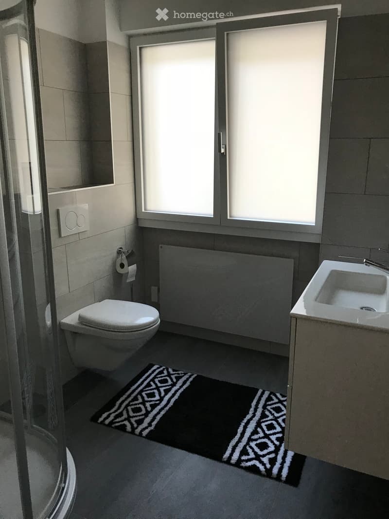Casa rinnovata immersa nel verde della Valle di Blenio (8)
