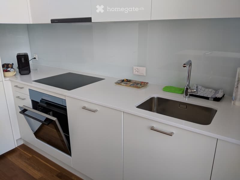 Urbanes Loft-Feeling mit Weitblick: Teilmöbliertes 1.5-Zimmer-Studio in Altstetten (Untermiete) (3)