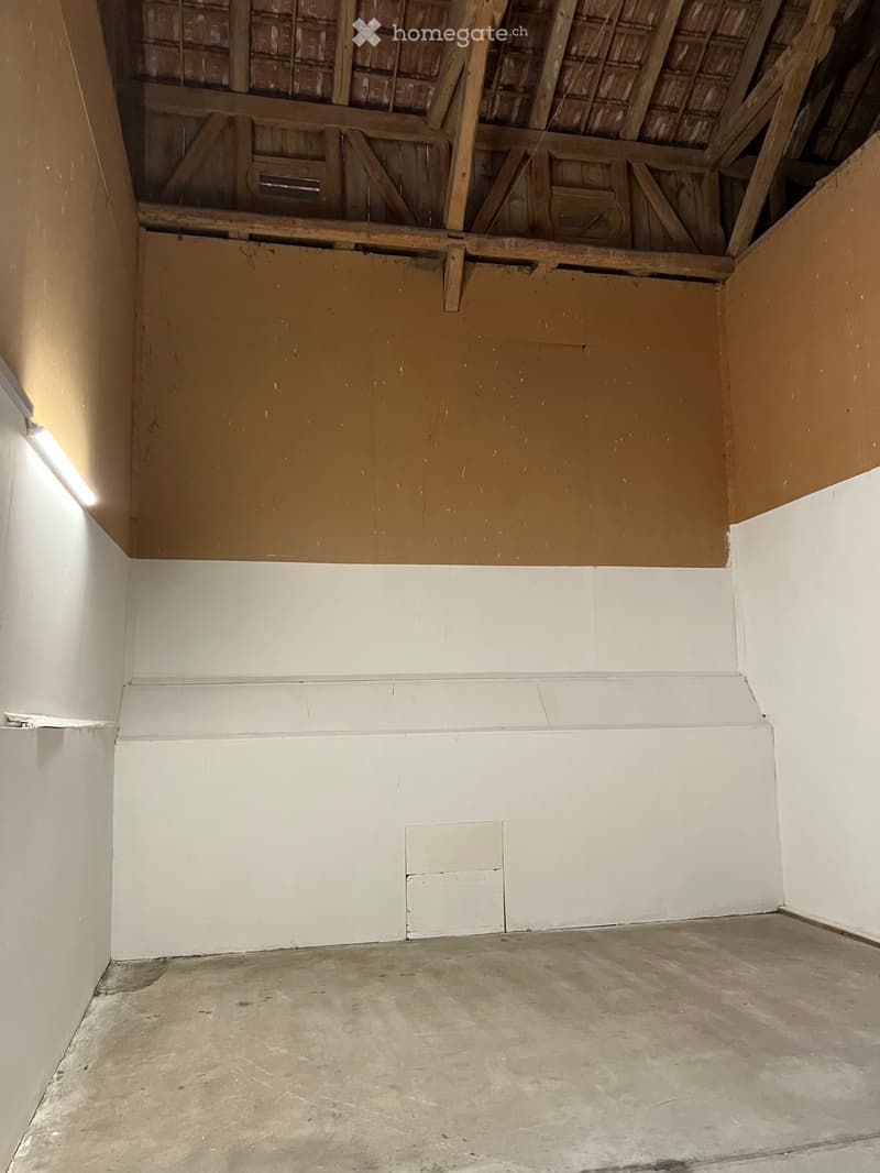 Lagerraum, Scheunenabteil, Garage (4)