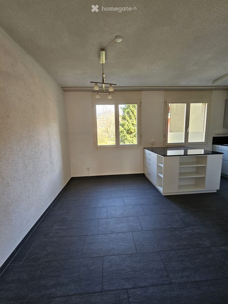 Empty room with white walls, black tiled floor, white kitchen island, and large windows