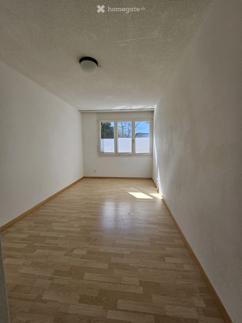 empty room, wooden floor, white walls, window with blinds, ceiling light