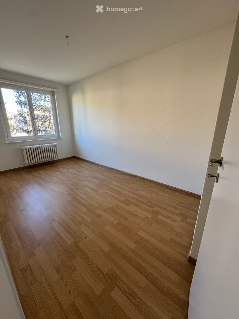 empty room, hardwood floor, white wall, window, white radiator