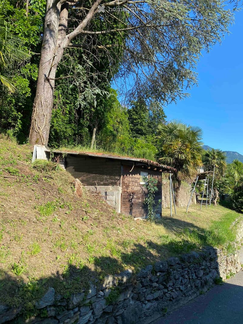 A small wooden shed sits on a raised ground floor surrounded by lush greenery and trees, with a stone wall and pathway leading to it.