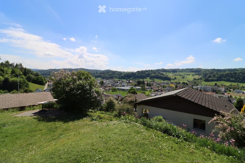 A panoramic view of a rural village with houses, green fields, and trees under a clear blue sky.