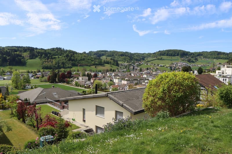 A panoramic view of a small town nestled in a lush green valley, with a mix of residential houses, trees, and rolling hills in the background.