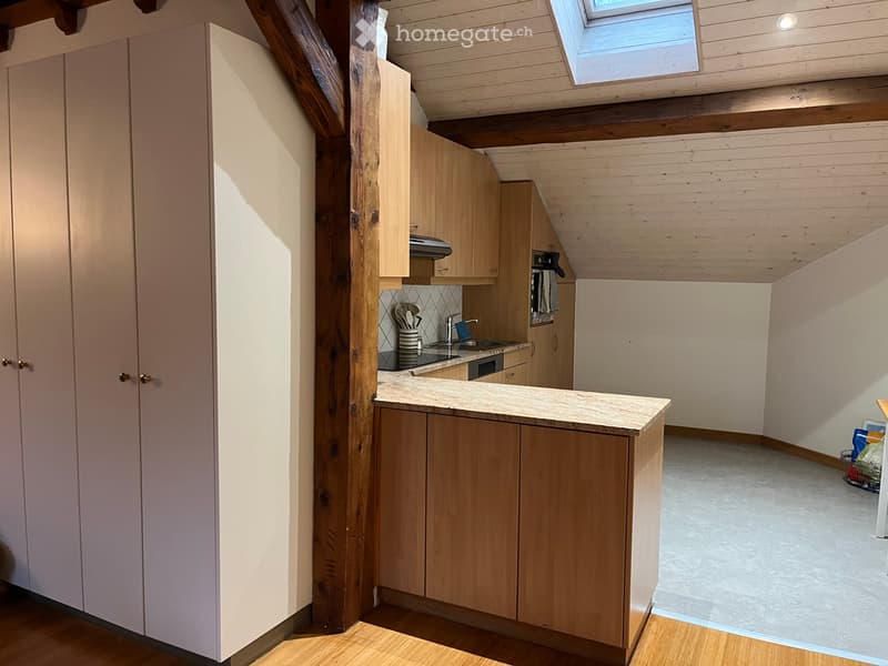 Stunning 4.5-Room Apartment in the Heart of Geneva (5)