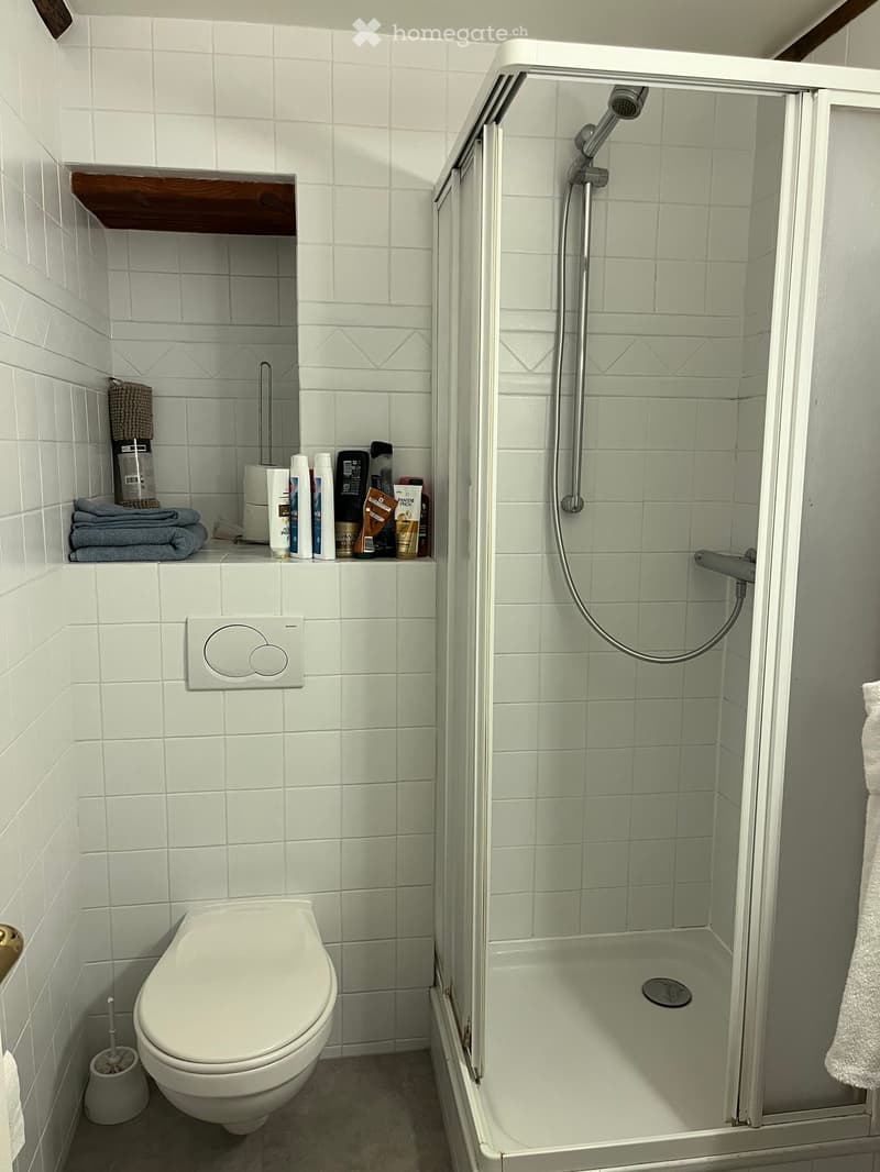 Stunning 4.5-Room Apartment in the Heart of Geneva (14)