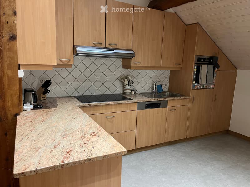 Stunning 4.5-Room Apartment in the Heart of Geneva (6)