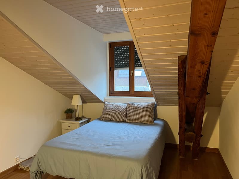 Stunning 4.5-Room Apartment in the Heart of Geneva (15)