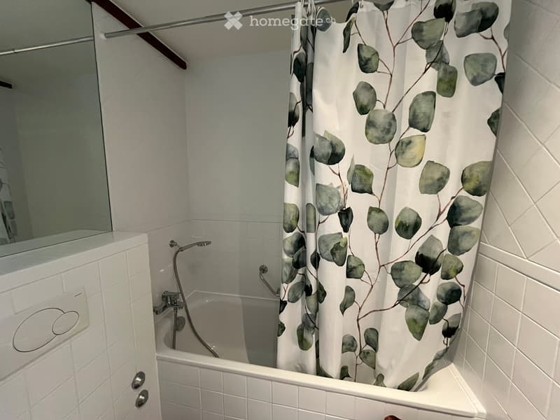 Stunning 4.5-Room Apartment in the Heart of Geneva (10)