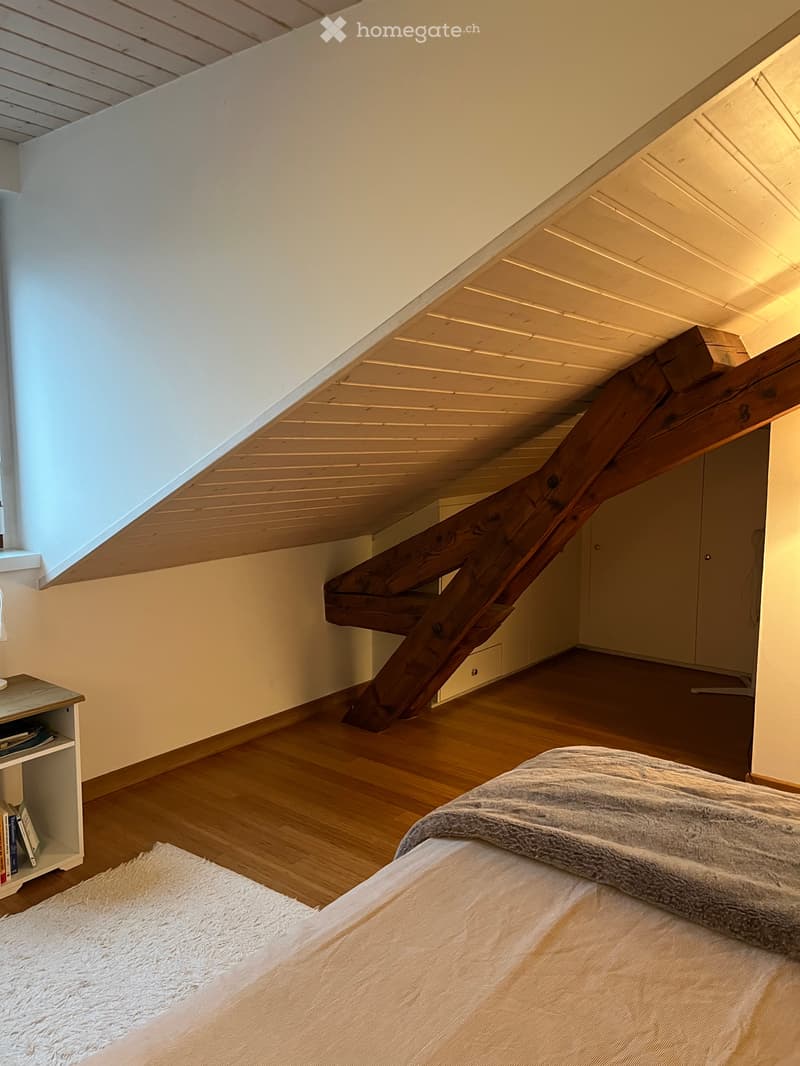 Stunning 4.5-Room Apartment in the Heart of Geneva (9)