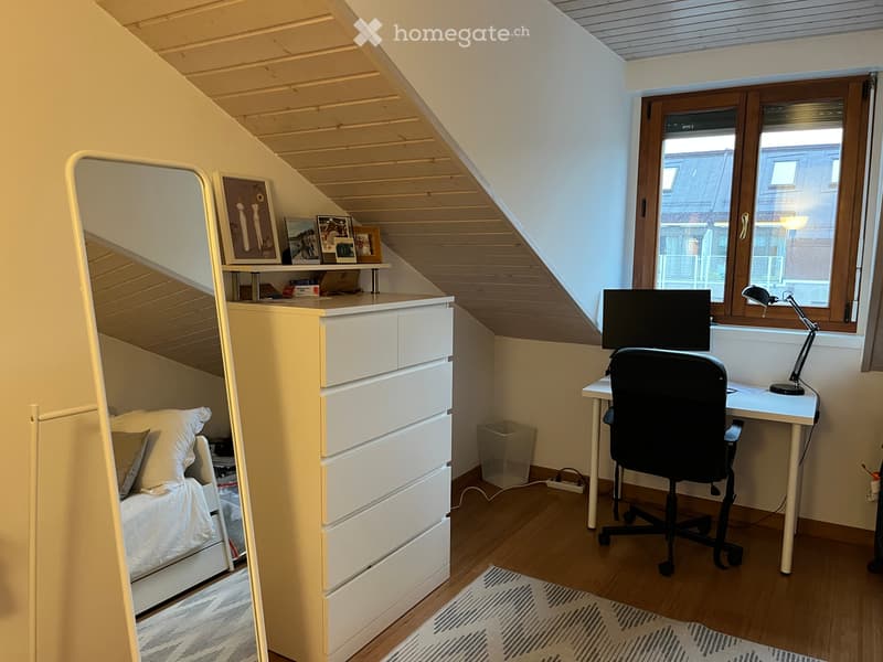 Stunning 4.5-Room Apartment in the Heart of Geneva (13)