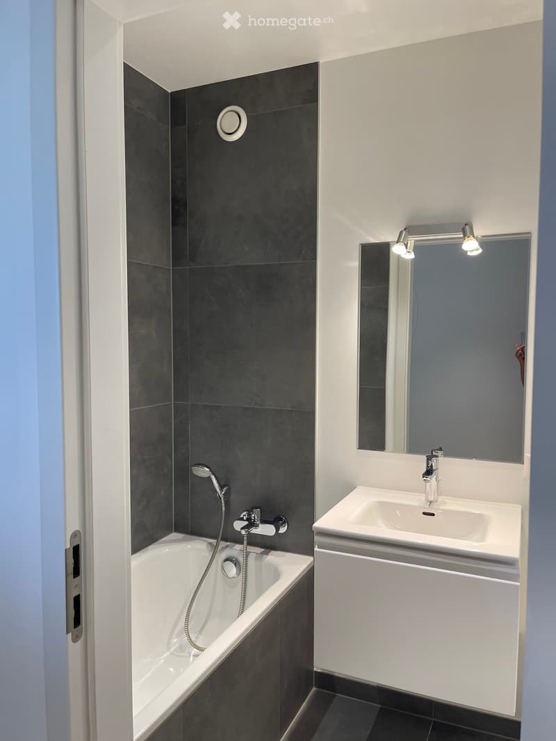 Modern bathroom with a white bathtub, chrome faucet, white sink, mirrored cabinet, and dark grey tiles.
