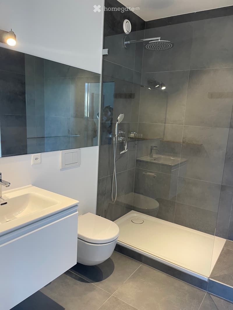 Modern bathroom with a white sink, toilet, bathtub, and glass-enclosed shower area with a handheld showerhead. The walls are tiled in dark gray, and the floor is tiled in light gray.