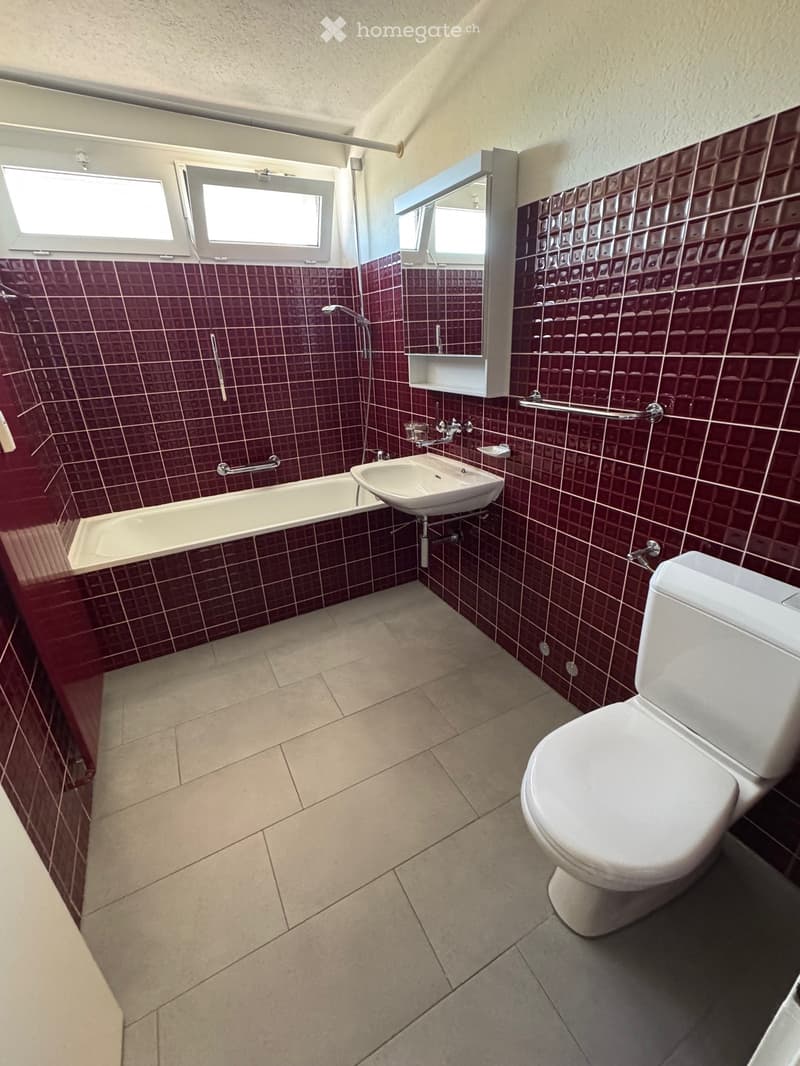 Bathroom. Bathroom with red tiles, white toilet, bathtub, sink, and mirror.