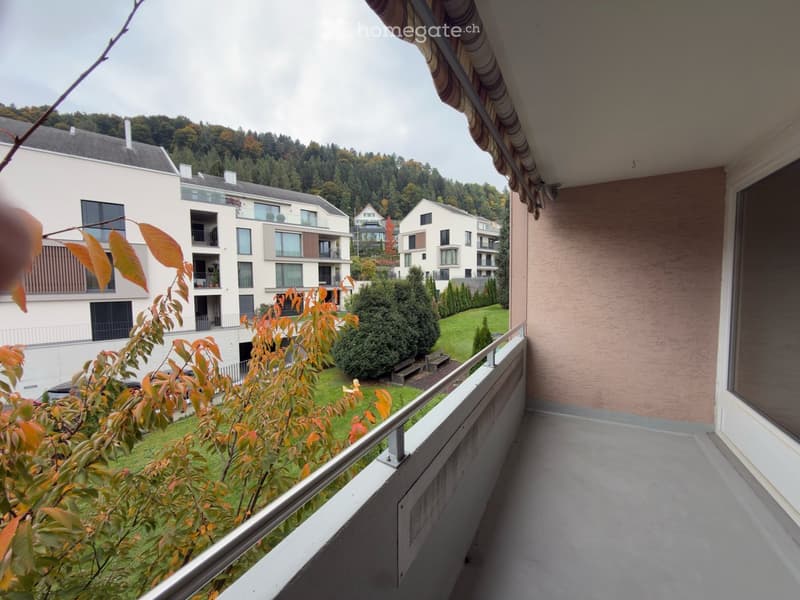 Balcony with metal railing, overlooking a grassy area with plants and trees, and a view of the surrounding buildings and mountains.