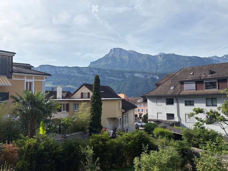 Luxuriöse 4.5-Zimmer-Gartenwohnung mit Bergblick und Seenähe (2)