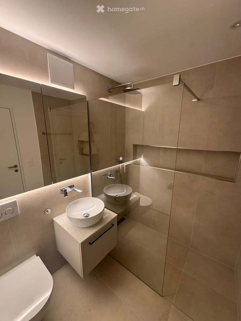 Modern bathroom with two sinks, a toilet, a large mirror, and a glass-enclosed shower area.