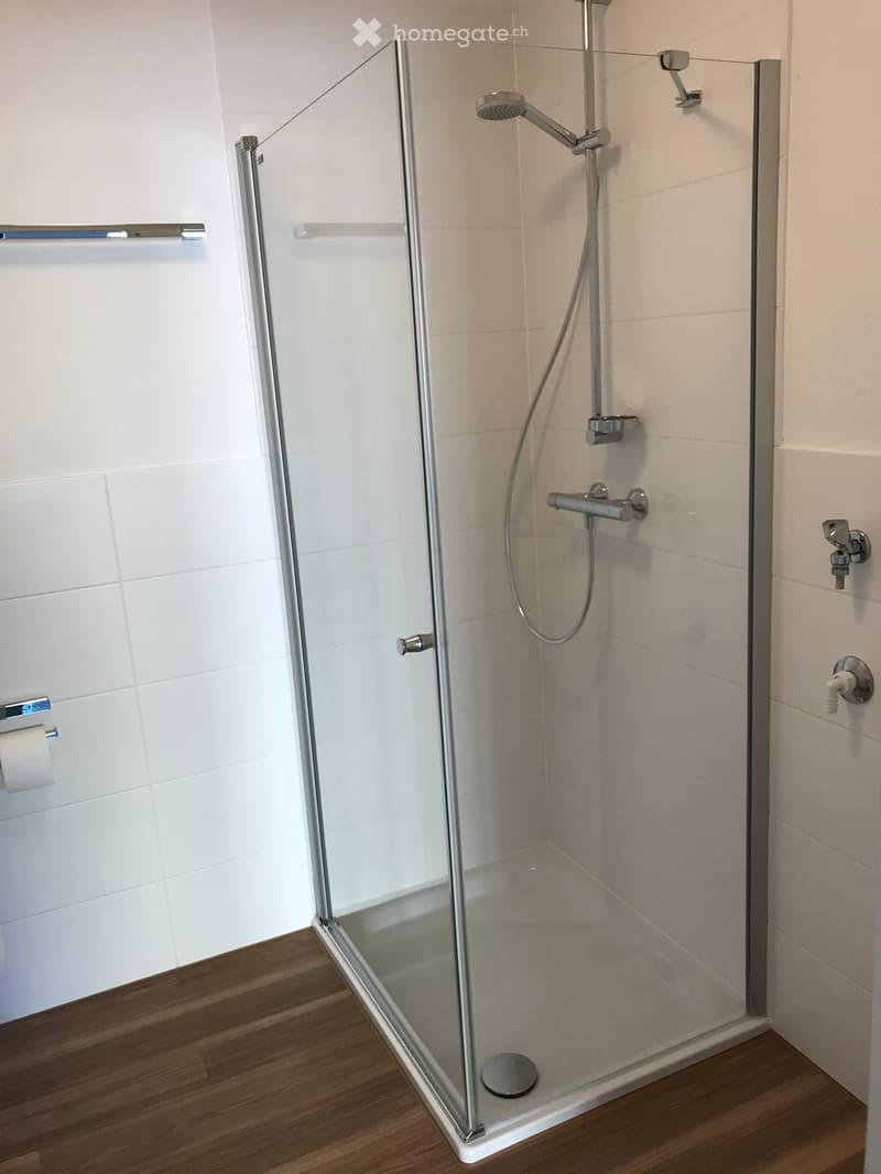 Modern bathroom with a glass-enclosed shower stall, wooden flooring, and a toilet paper holder visible on the left side.