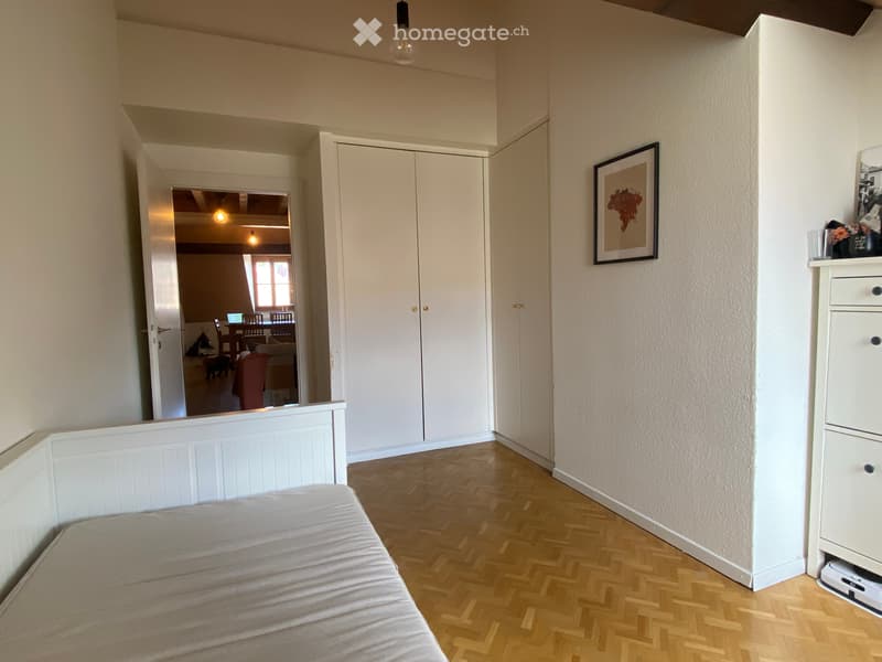 Spacieux appartement de 4 pièces avec vue agréable à Carouge (3)