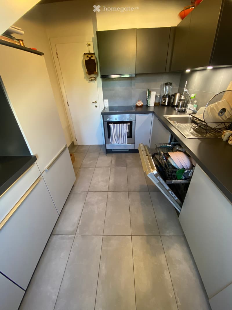 Spacieux appartement de 4 pièces avec vue agréable à Carouge (5)