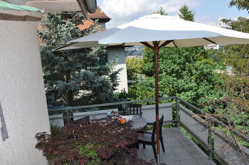 Charmante 6-Zimmer-Terrassenwohnung im Altbau – Schaffhausen (4)