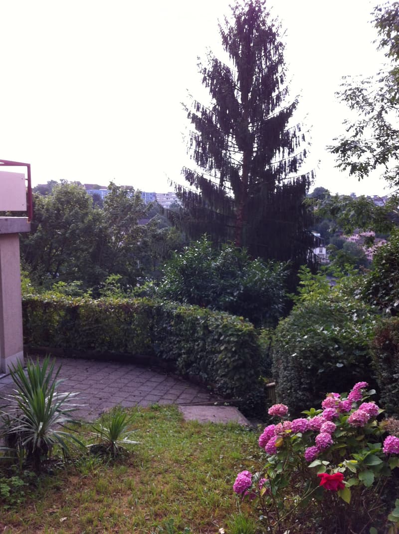 Charmante 6-Zimmer-Terrassenwohnung im Altbau – Schaffhausen (5)