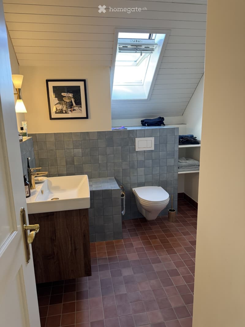 Bathroom. Modern bathroom with grey tiled walls, red tiled floor, white sink, toilet, and a skylight window above the toilet.