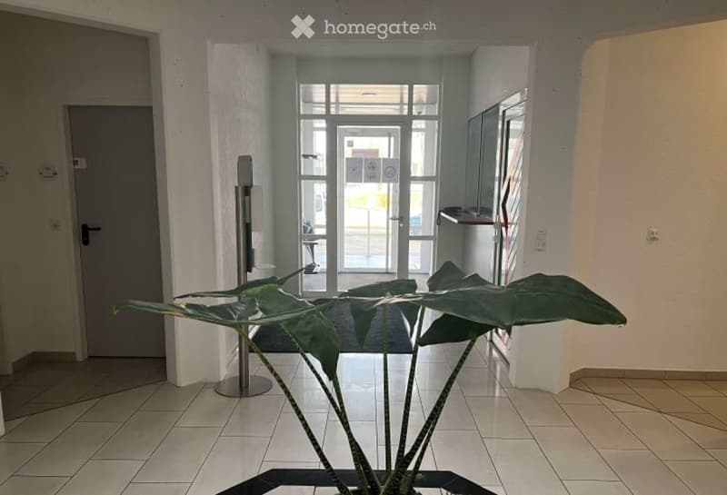 Corridor / Hallway. Bright hallway with tiled flooring, white walls, and large glass doors leading outside. A potted plant is placed in the foreground.
