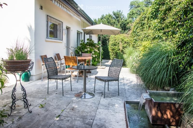 outdoor dining table and chairs, parasol, plants, trees, fountain