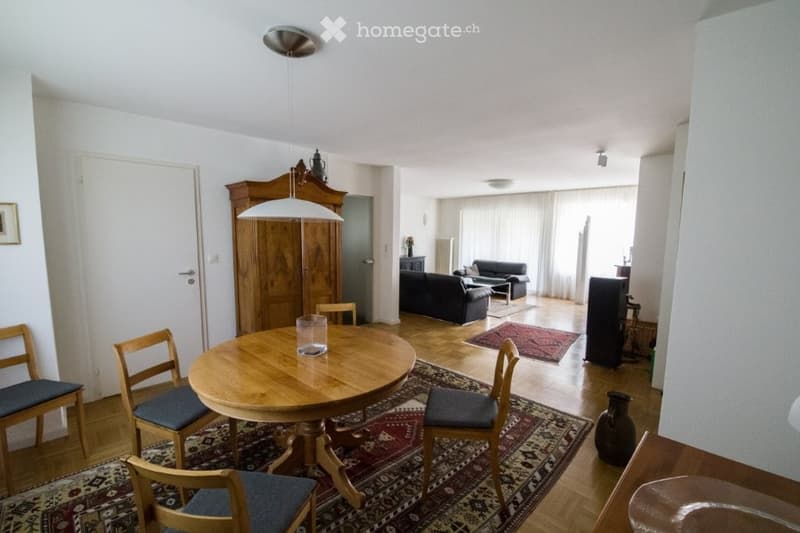wooden dining table, six chairs, hardwood floor, ceiling lamp, rug, wooden cupboard, and living room furniture