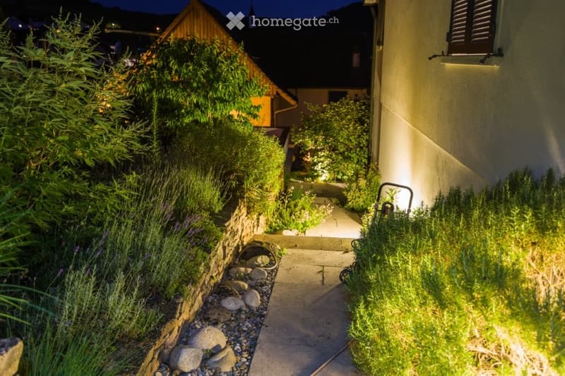 Illuminated pathway, plants, shrubs, rocks, and illuminated pathway with yellow lighting.