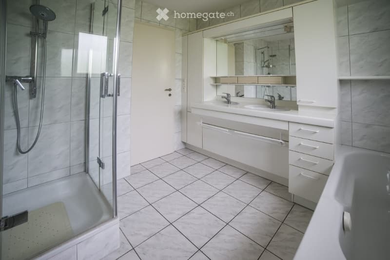 glass shower, bathtub, sink, mirror, cabinets, double sink, modern design
