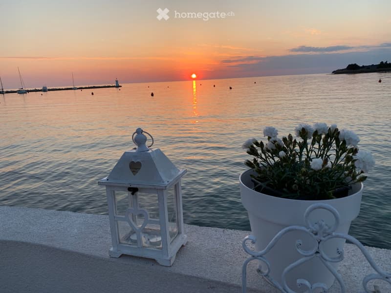 Garden / Outdoor Area. A serene outdoor setting by the sea at sunset, featuring a white lantern and a flower pot with white flowers on a stone ledge.