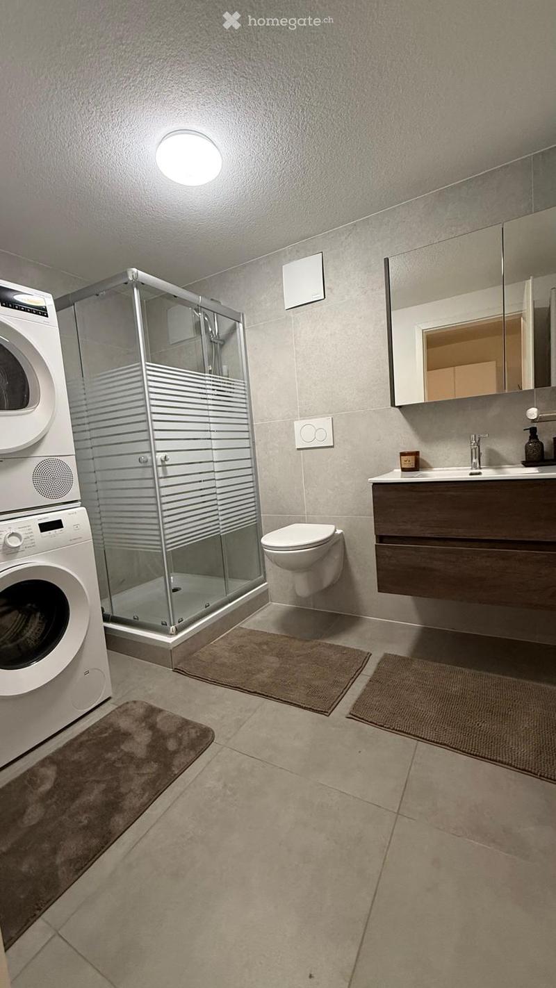 Moderne und möblierte 2.5-Zimmer-Wohnung ab sofort verfügbar (5)