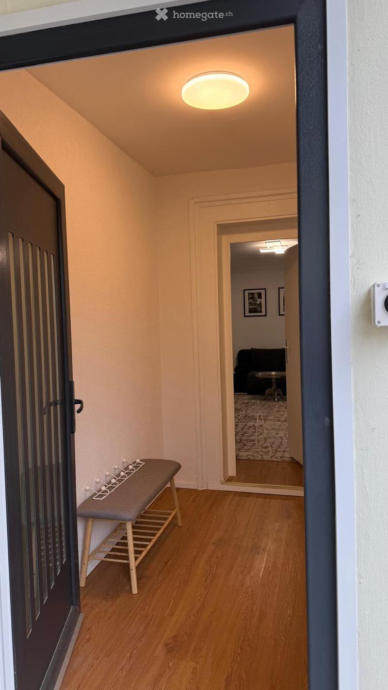 Moderne und möblierte 2.5-Zimmer-Wohnung ab sofort verfügbar (6)