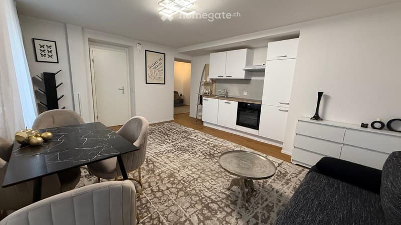 Moderne und möblierte 2.5-Zimmer-Wohnung ab sofort verfügbar (2)