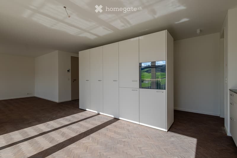 large white closets, parquet floor, large windows, door