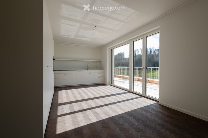 Large sliding glass doors, balcony access, white cabinets, modern kitchen, parquet flooring
