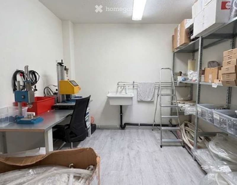 Furnished Room. A small, organized room with a table, chair, sink, shelves, ladder, and storage boxes. The room has white walls, a light fixture, and a wooden floor.