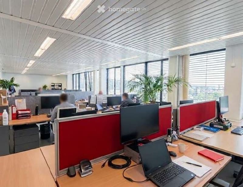 Furnished Room. Open-plan office space with individual workstations, desks, laptops, monitors, keyboards, mice, and plants. Each workstation has a laptop, monitor, and various office supplies.
