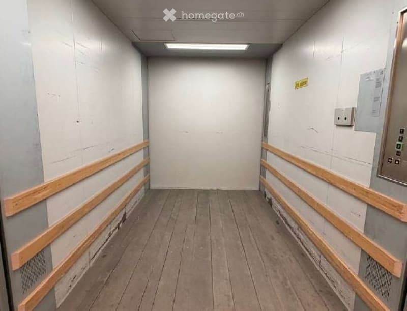 Corridor / Hallway. Empty hallway with wooden flooring, white walls, and wooden handrails on both sides. A single light fixture is mounted on the ceiling, and a closed door is visible at the far end.