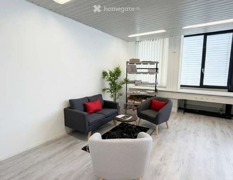 Furnished Room. Modern living room with grey sofa, red throw pillow, grey armchair, coffee table, bookshelf, and a small plant. Light wood flooring and white walls.