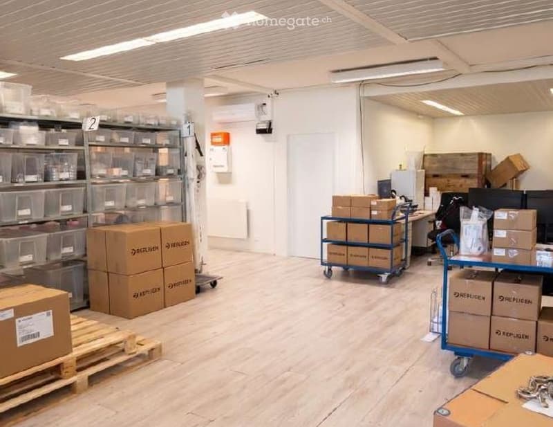 Unfurnished Room. Empty warehouse or storage space with wooden flooring, white walls, and storage shelves. Various cardboard boxes and pallets are scattered throughout the area.