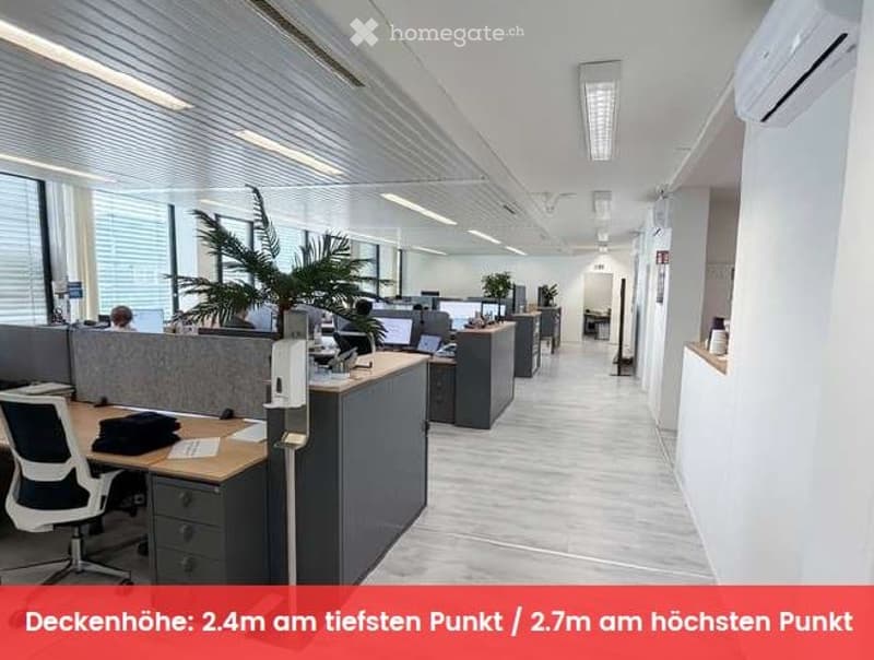 Furnished Room. Modern office space with desks, chairs, computers, and plants. The room features a clean, organized layout with large windows providing natural light.