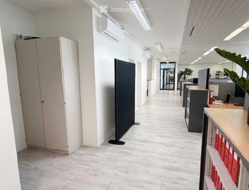 Corridor / Hallway. Modern, well-lit hallway with white walls, light-colored flooring, and several office partitions and storage units visible along the sides.