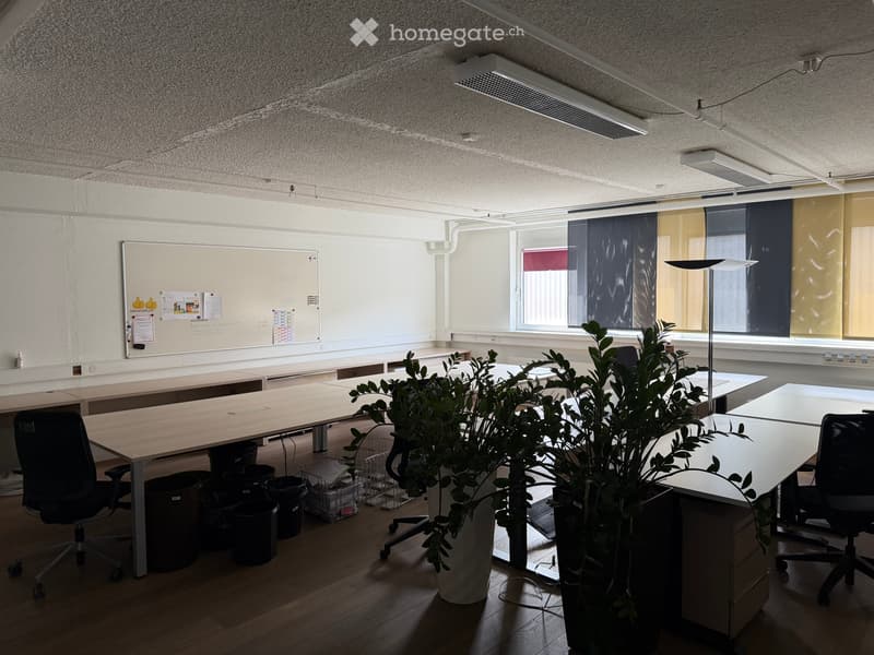 Helles 6.5-Zimmer Büro im 1. Obergeschoss in Wangen, SZ (2)