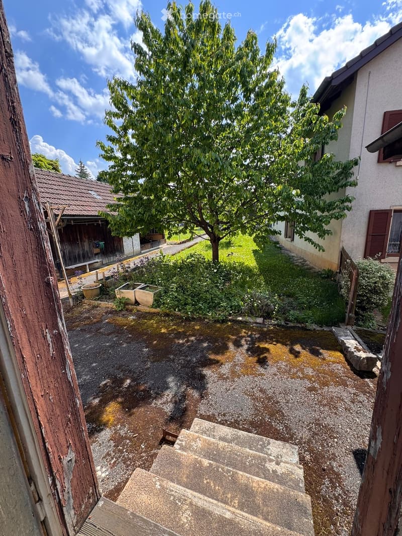 Garden / Outdoor Area. Garden area with a tree, concrete steps, and surrounding buildings.